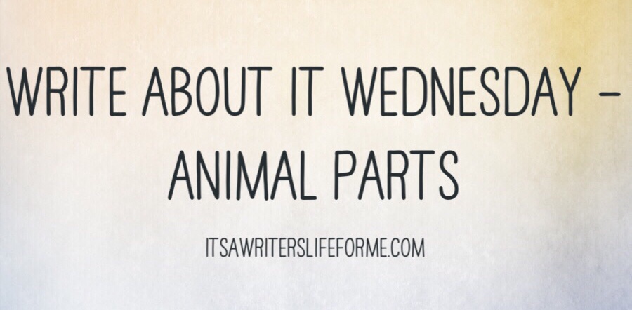 Write about it wednesday animal parts its a writers life for me