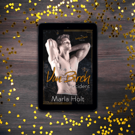 indie books the van birch incident