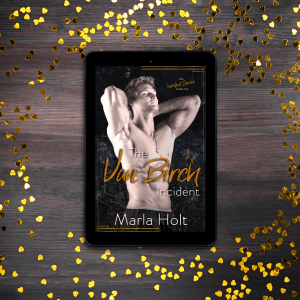 indie books the van birch incident